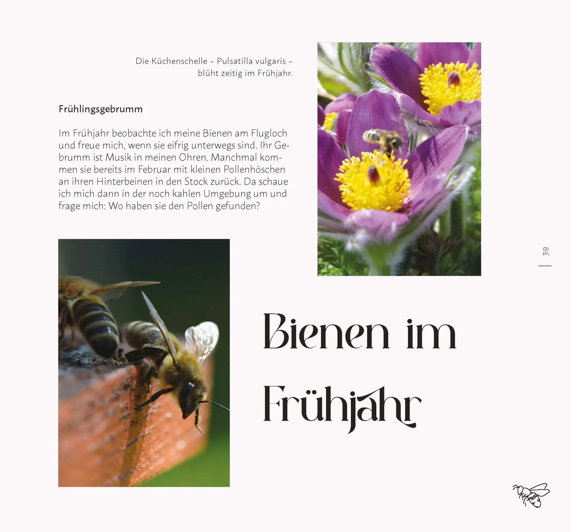Bild: 9783955870935 | Faszination Wildkräuter | Faszination Wildkräuter | Cornelia Müller