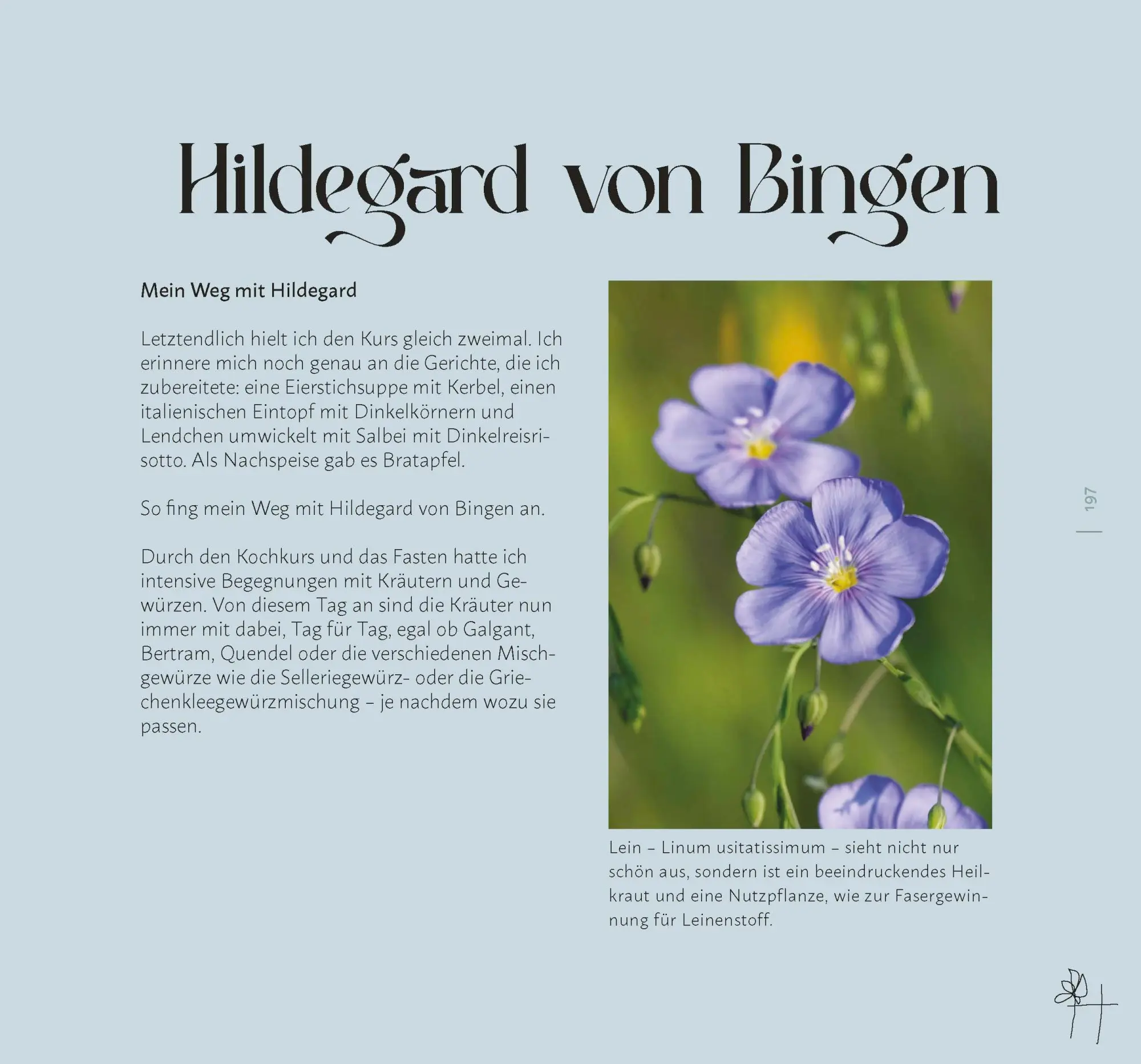 Bild: 9783955870935 | Faszination Wildkräuter | Faszination Wildkräuter | Cornelia Müller