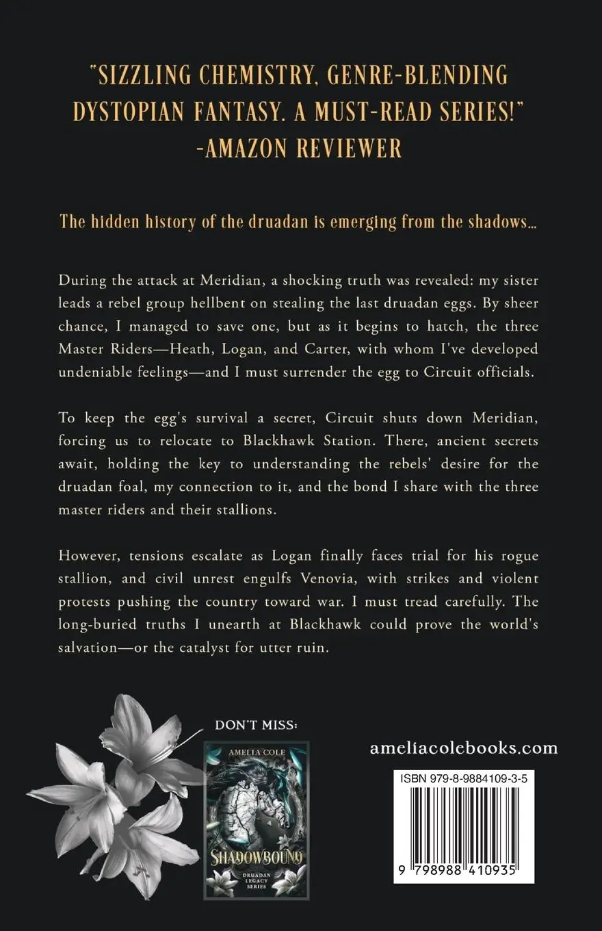 Rückseite: 9798988410935 | Soulbound | Amelia Cole | Taschenbuch | Englisch | 2024