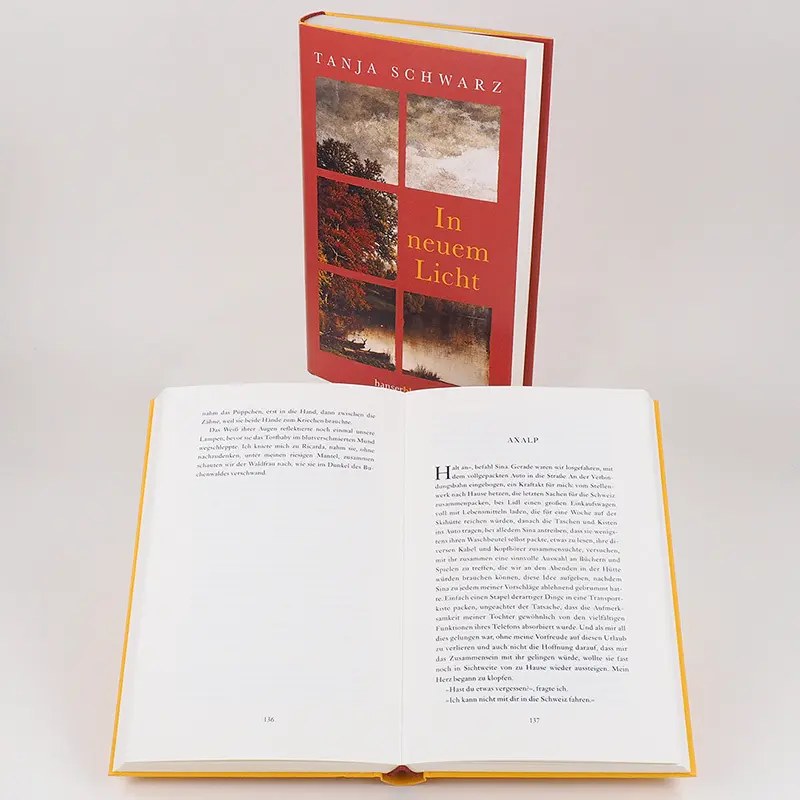 Bild: 9783446271135 | In neuem Licht | Tanja Schwarz | Buch | 272 S. | Deutsch | 2021
