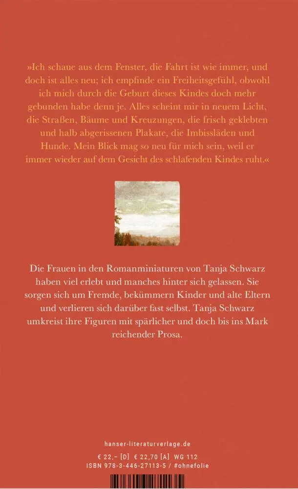 Bild: 9783446271135 | In neuem Licht | Tanja Schwarz | Buch | 272 S. | Deutsch | 2021
