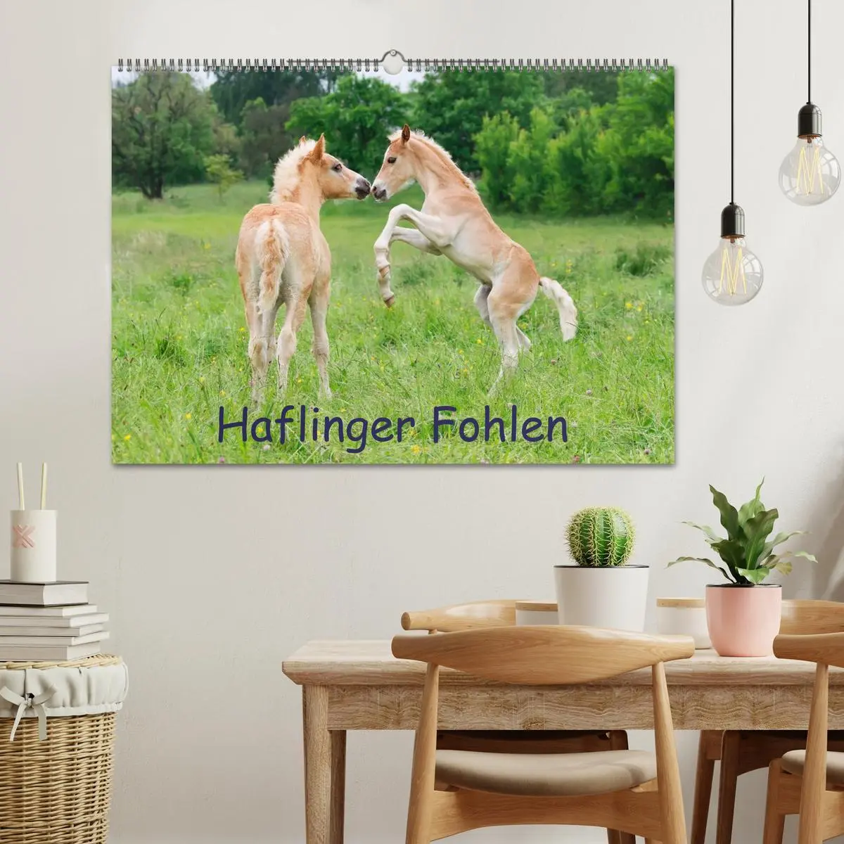 Bild: 9783516181135 | Haflinger Fohlen (Wandkalender 2026 DIN A2 quer), CALVENDO...