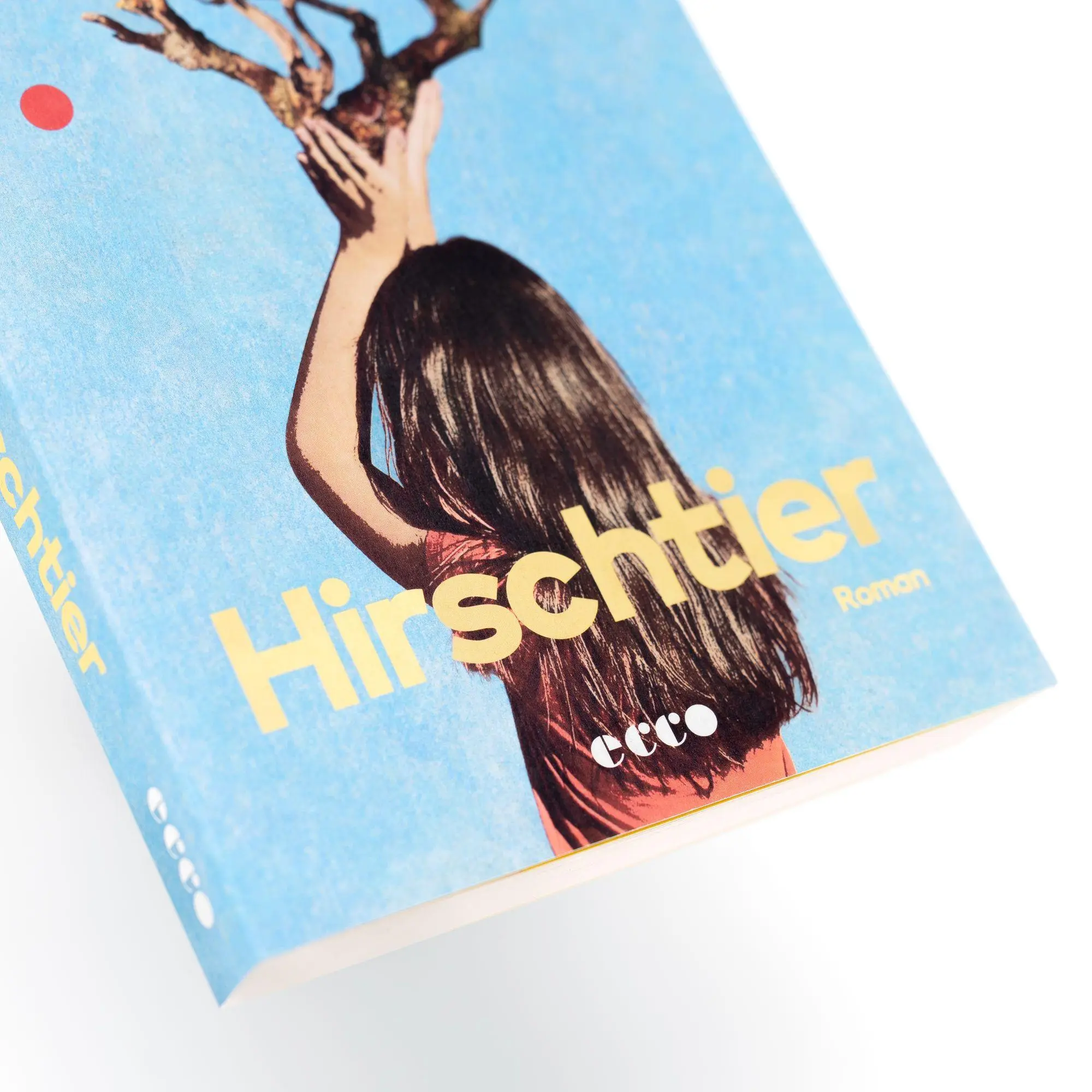 Bild: 9783753001135 | Hirschtier | Claire Oshetsky | Taschenbuch | 240 S. | Deutsch | 2026