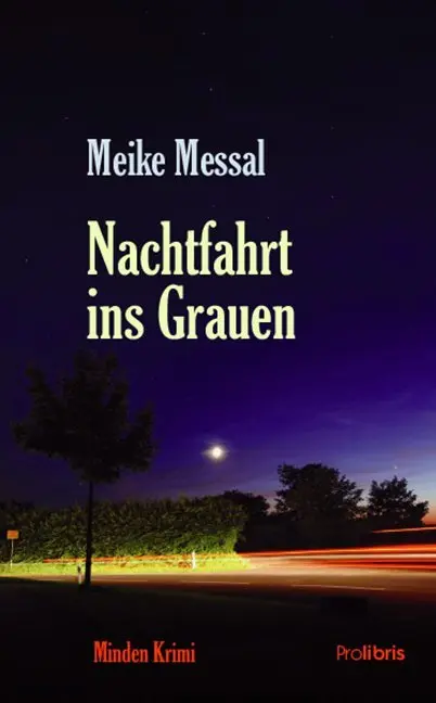 Cover: 9783954751235 | Nachtfahrt ins Grauen | Minden Krimi | Meike Messal | Taschenbuch