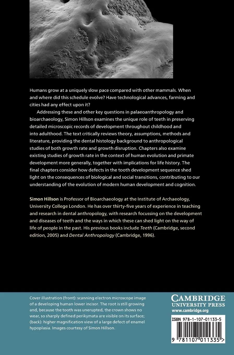 Rückseite: 9781107011335 | Tooth Development in Human Evolution and Bioarchaeology | Hillson