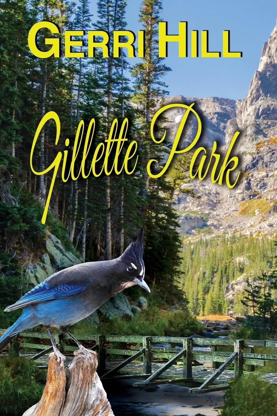 Cover: 9781642471335 | Gillette Park | Gerri Hill | Taschenbuch | Englisch | 2020