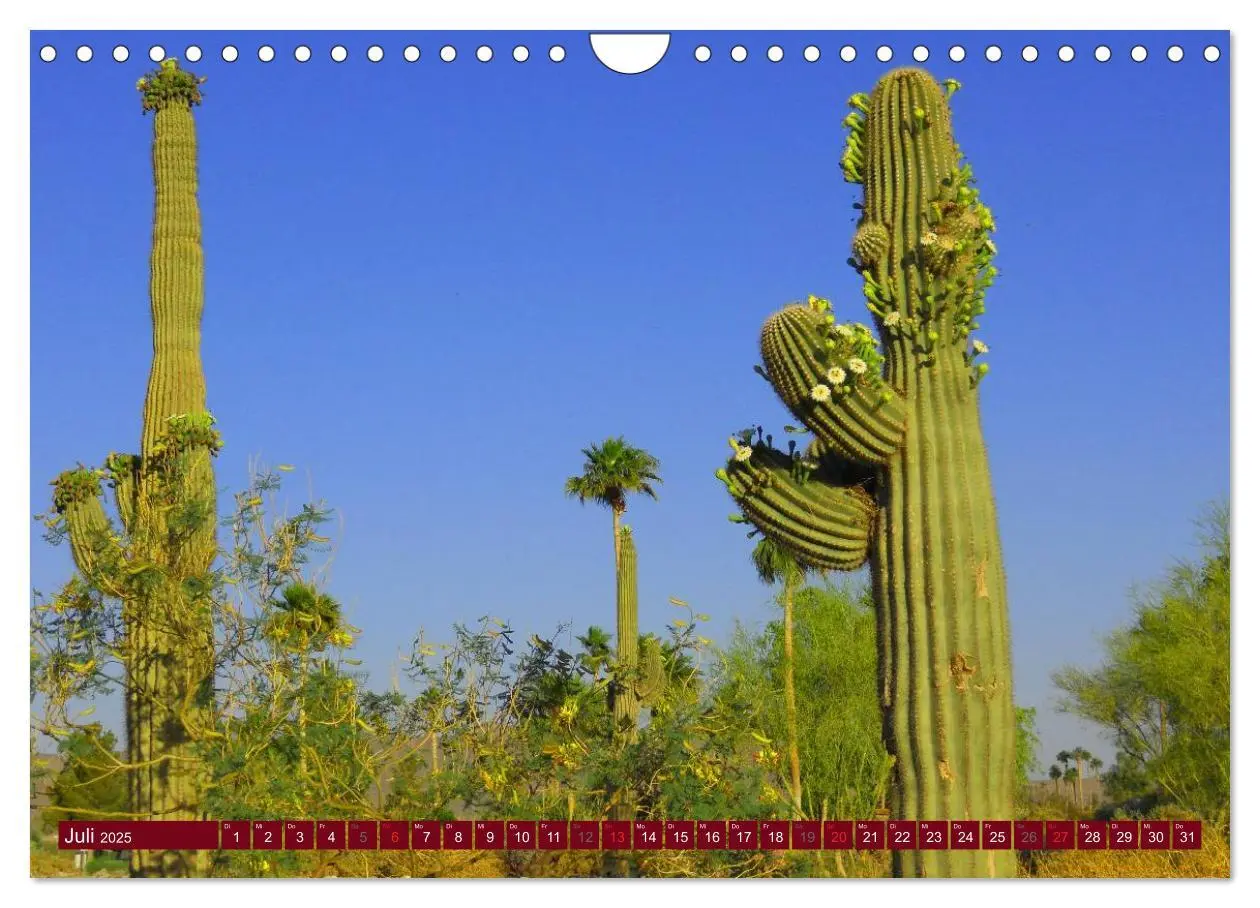 Bild: 9783435741335 | Arizona ¿ Impressionen (Wandkalender 2025 DIN A4 quer), CALVENDO...