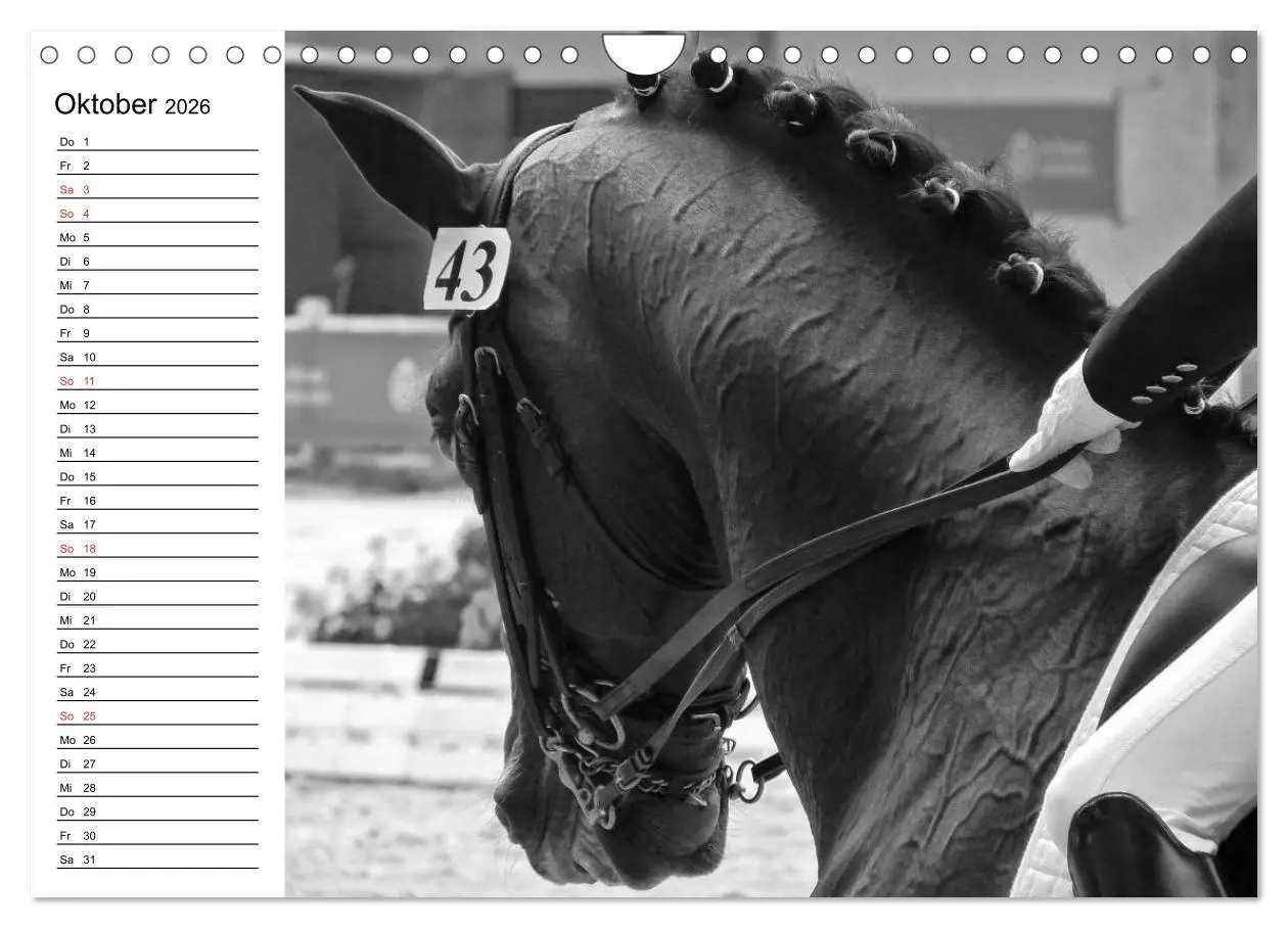 Bild: 9783457991435 | Leidenschaft Pferdesport - Impressionen (Wandkalender 2026 DIN A4...