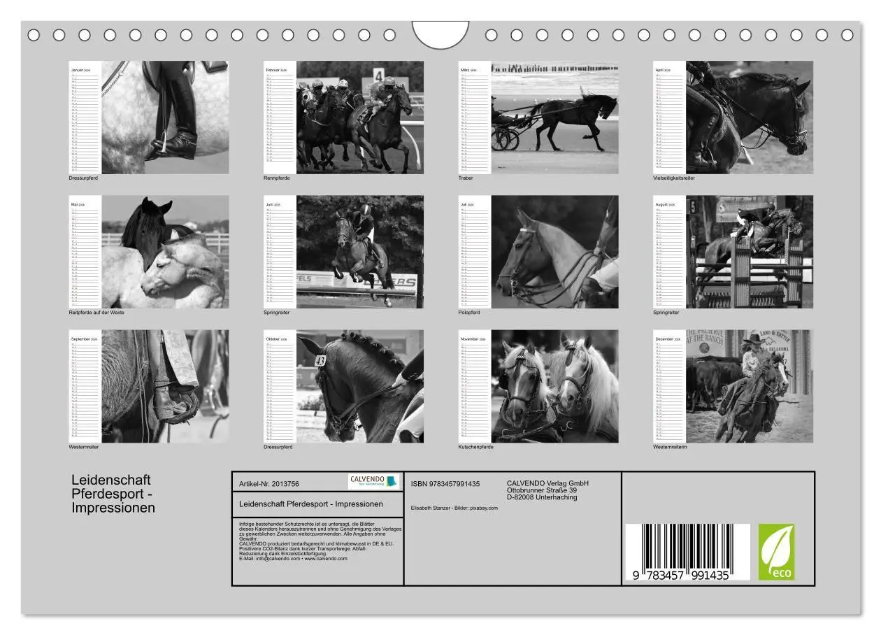 Bild: 9783457991435 | Leidenschaft Pferdesport - Impressionen (Wandkalender 2026 DIN A4...