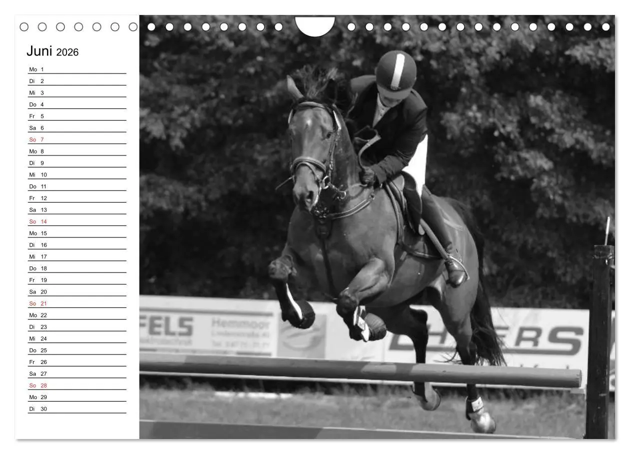 Bild: 9783457991435 | Leidenschaft Pferdesport - Impressionen (Wandkalender 2026 DIN A4...