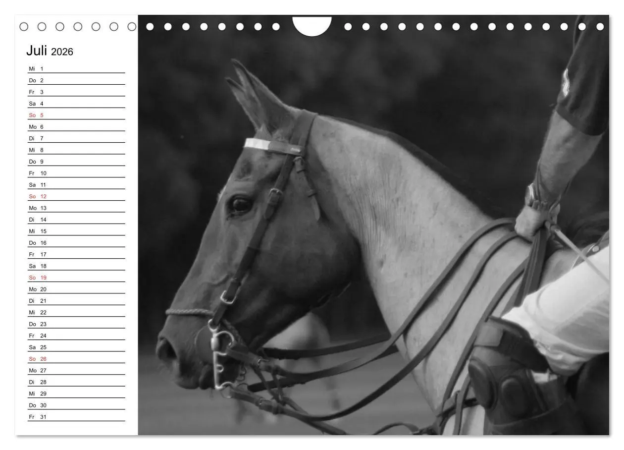 Bild: 9783457991435 | Leidenschaft Pferdesport - Impressionen (Wandkalender 2026 DIN A4...
