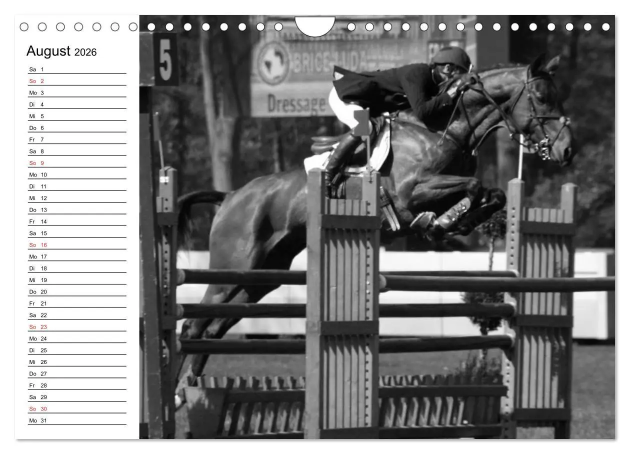 Bild: 9783457991435 | Leidenschaft Pferdesport - Impressionen (Wandkalender 2026 DIN A4...