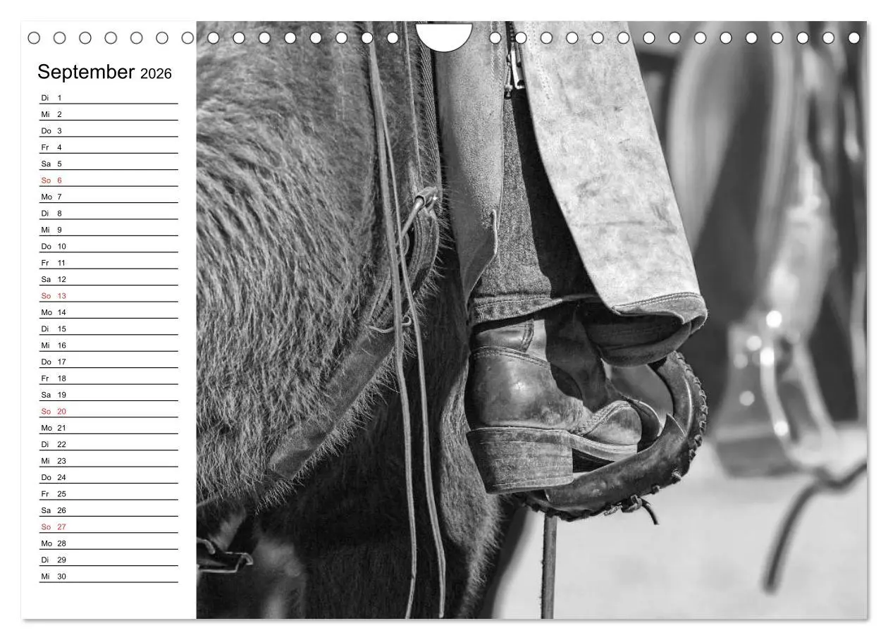 Bild: 9783457991435 | Leidenschaft Pferdesport - Impressionen (Wandkalender 2026 DIN A4...