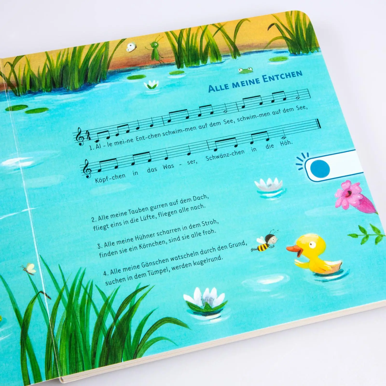Bild: 9783551251435 | Erste Kinderlieder | Marina Rachner | Buch | Sing mal | Pappenbuch