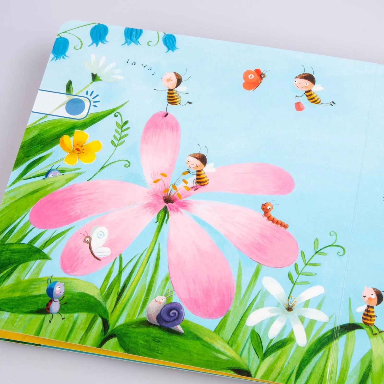 Bild: 9783551251435 | Erste Kinderlieder | Marina Rachner | Buch | Sing mal | Pappenbuch