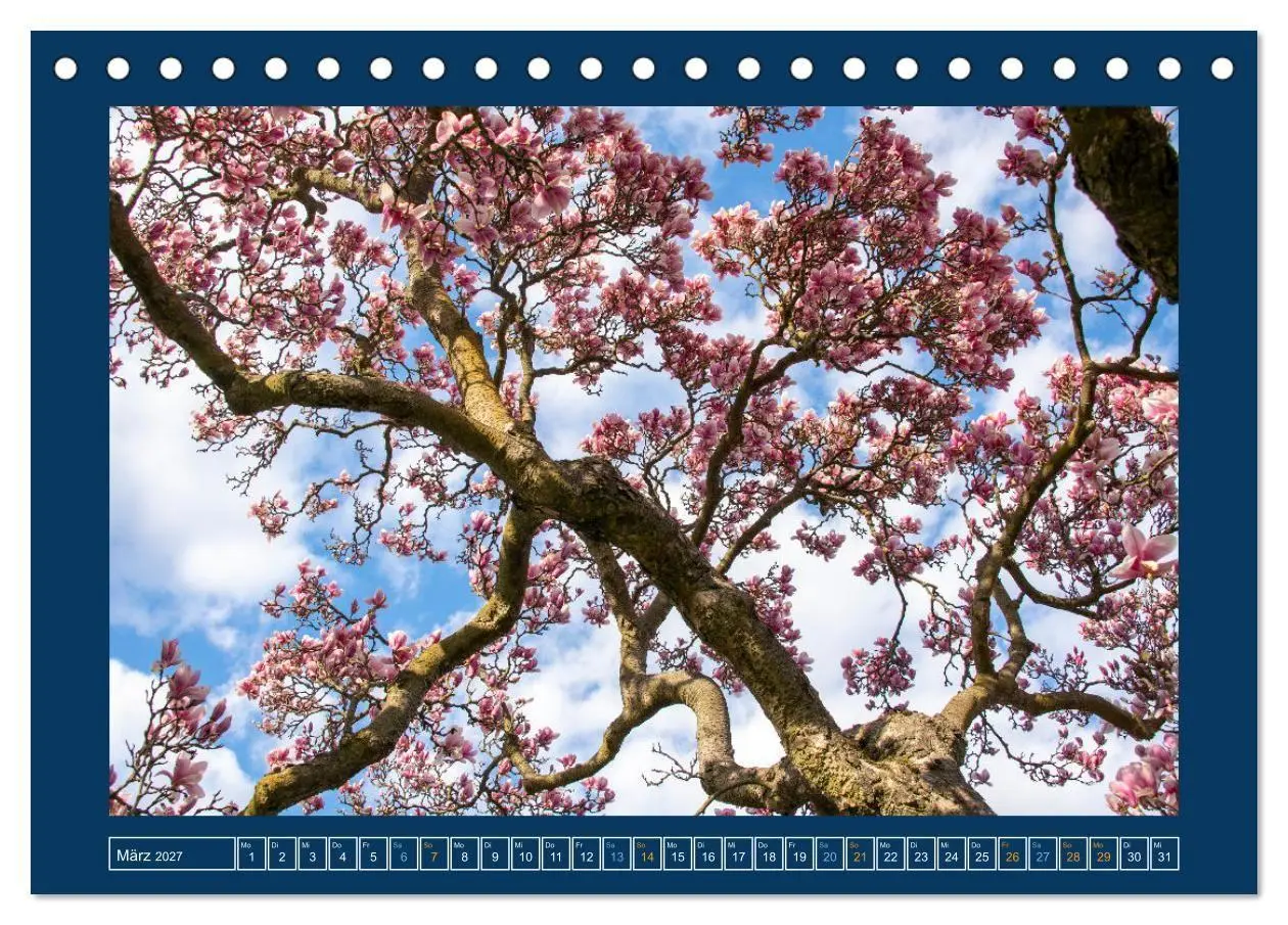 Bild: 9783569481435 | Magdeburg (Tischkalender 2027 DIN A5 quer), CALVENDO Monatskalender
