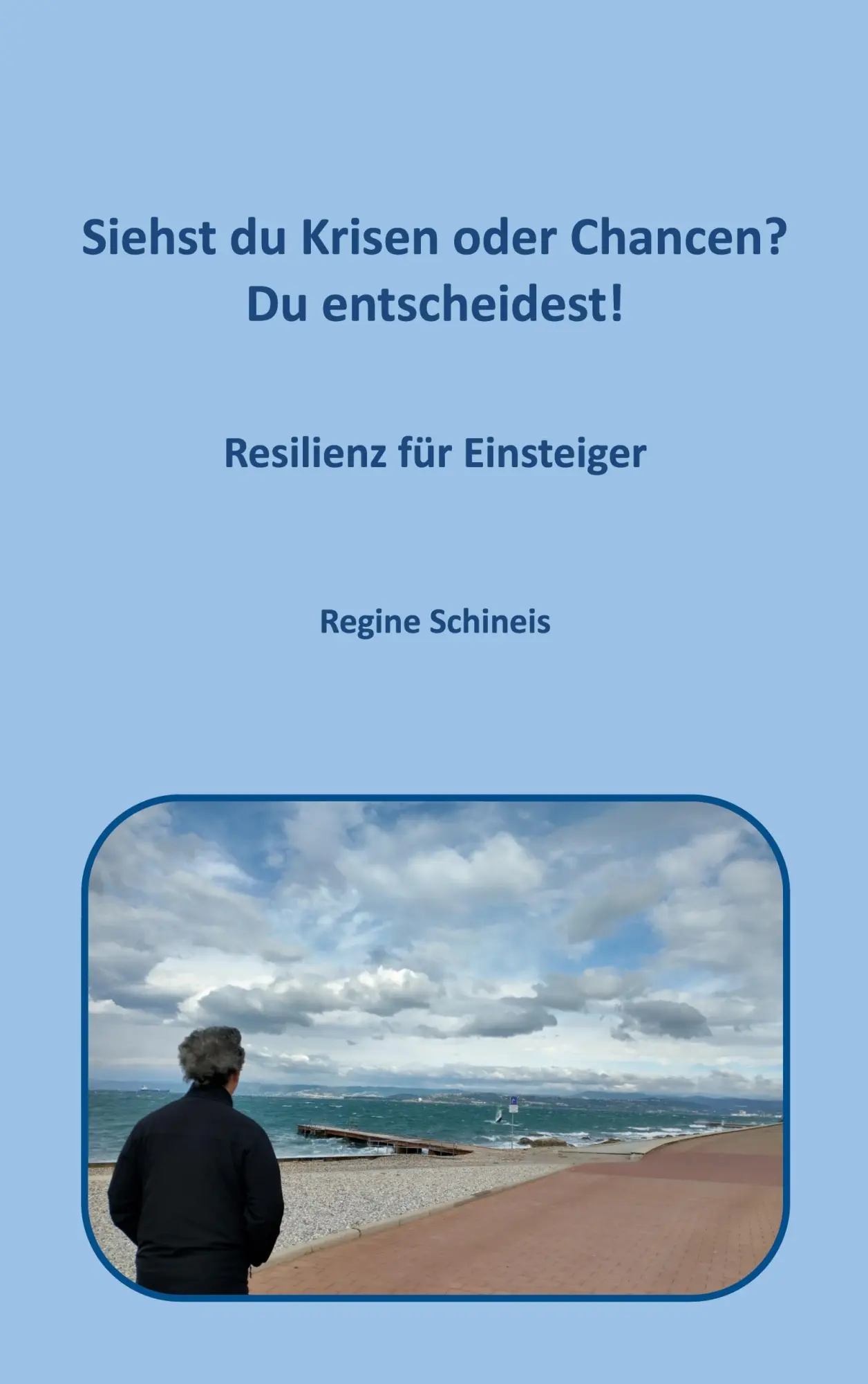 Cover: 9783757891435 | Siehst du Krisen oder Chancen? Du entscheidest! | Regine Schineis