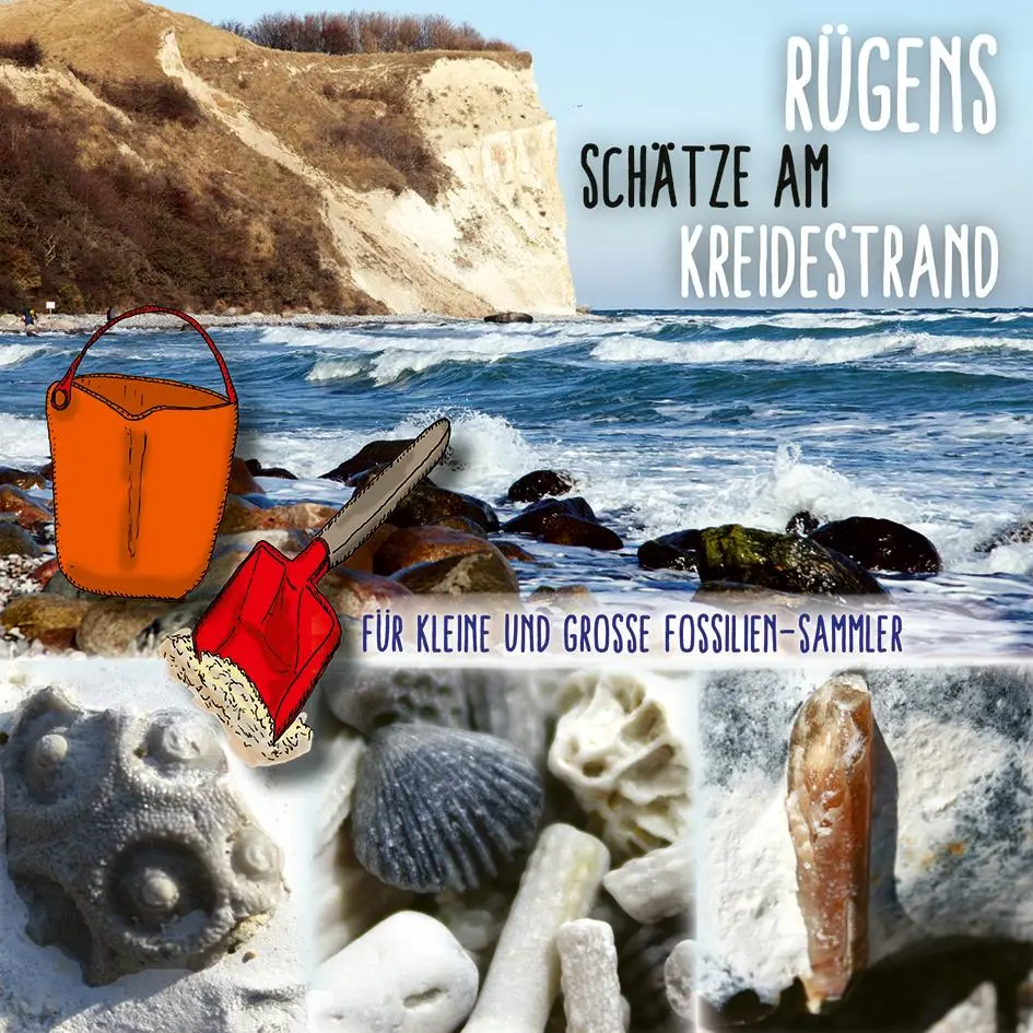 Cover: 9783959161435 | Rügens Schätze am Kreidestrand - Für kleine und große Fossiliensammler