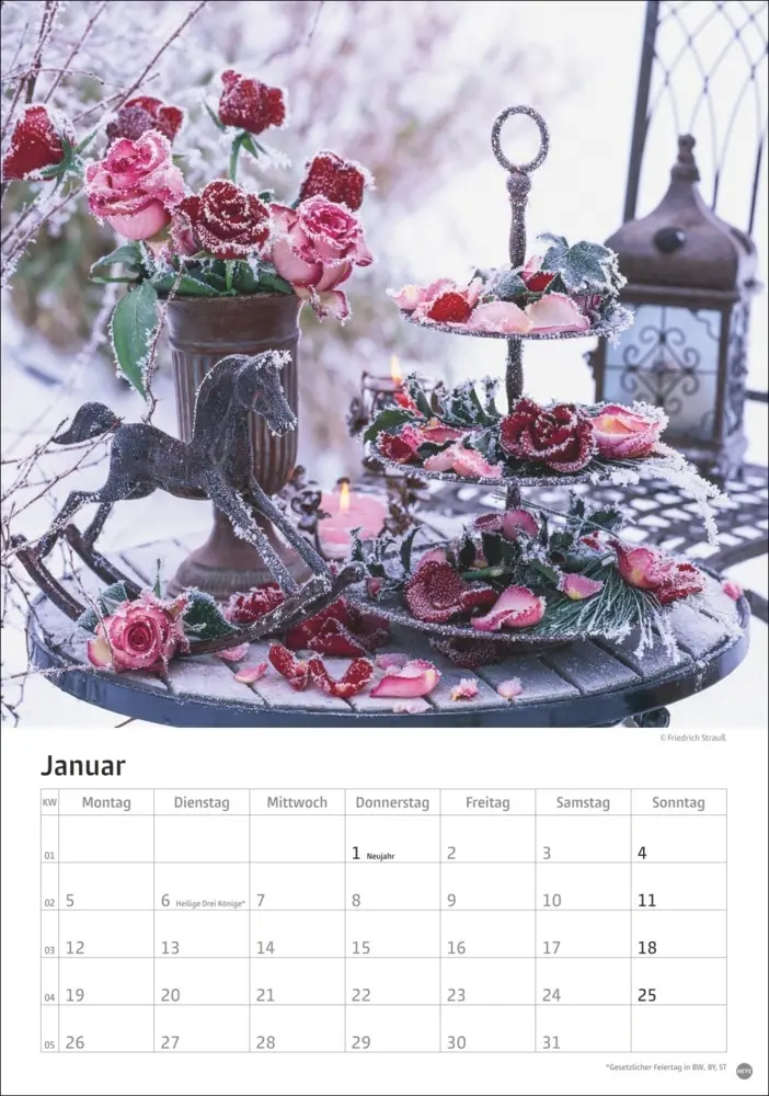Bild: 9783756411535 | Rosenpracht Kalender 2026 | Heye | Kalender | Spiralbindung | 13 S.