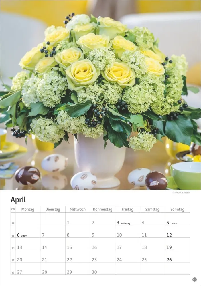 Bild: 9783756411535 | Rosenpracht Kalender 2026 | Heye | Kalender | Spiralbindung | 13 S.