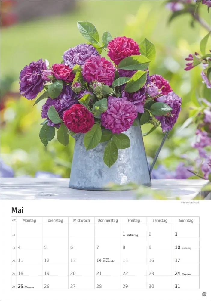 Bild: 9783756411535 | Rosenpracht Kalender 2026 | Heye | Kalender | Spiralbindung | 13 S.
