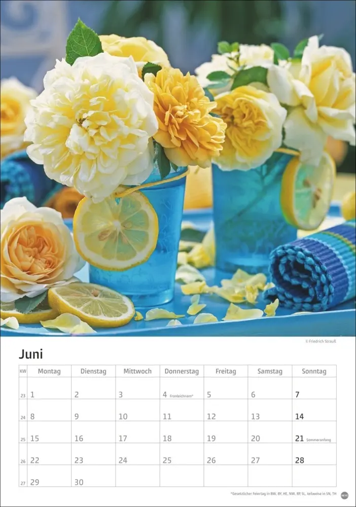 Bild: 9783756411535 | Rosenpracht Kalender 2026 | Heye | Kalender | Spiralbindung | 13 S.