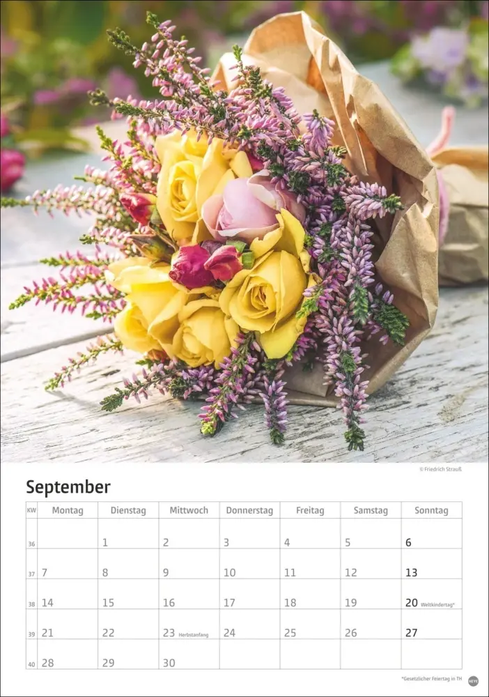 Bild: 9783756411535 | Rosenpracht Kalender 2026 | Heye | Kalender | Spiralbindung | 13 S.