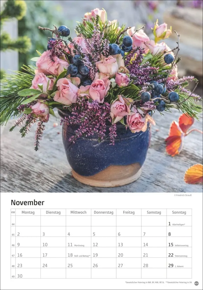 Bild: 9783756411535 | Rosenpracht Kalender 2026 | Heye | Kalender | Spiralbindung | 13 S.
