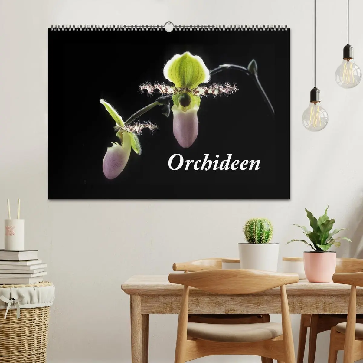 Bild: 9783516201635 | Orchideen 2026 (Wandkalender 2026 DIN A2 quer), CALVENDO...