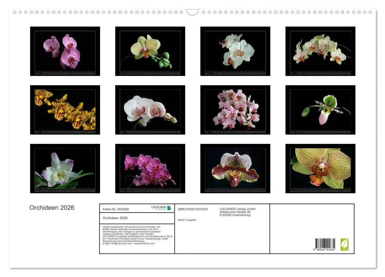 Bild: 9783516201635 | Orchideen 2026 (Wandkalender 2026 DIN A2 quer), CALVENDO...