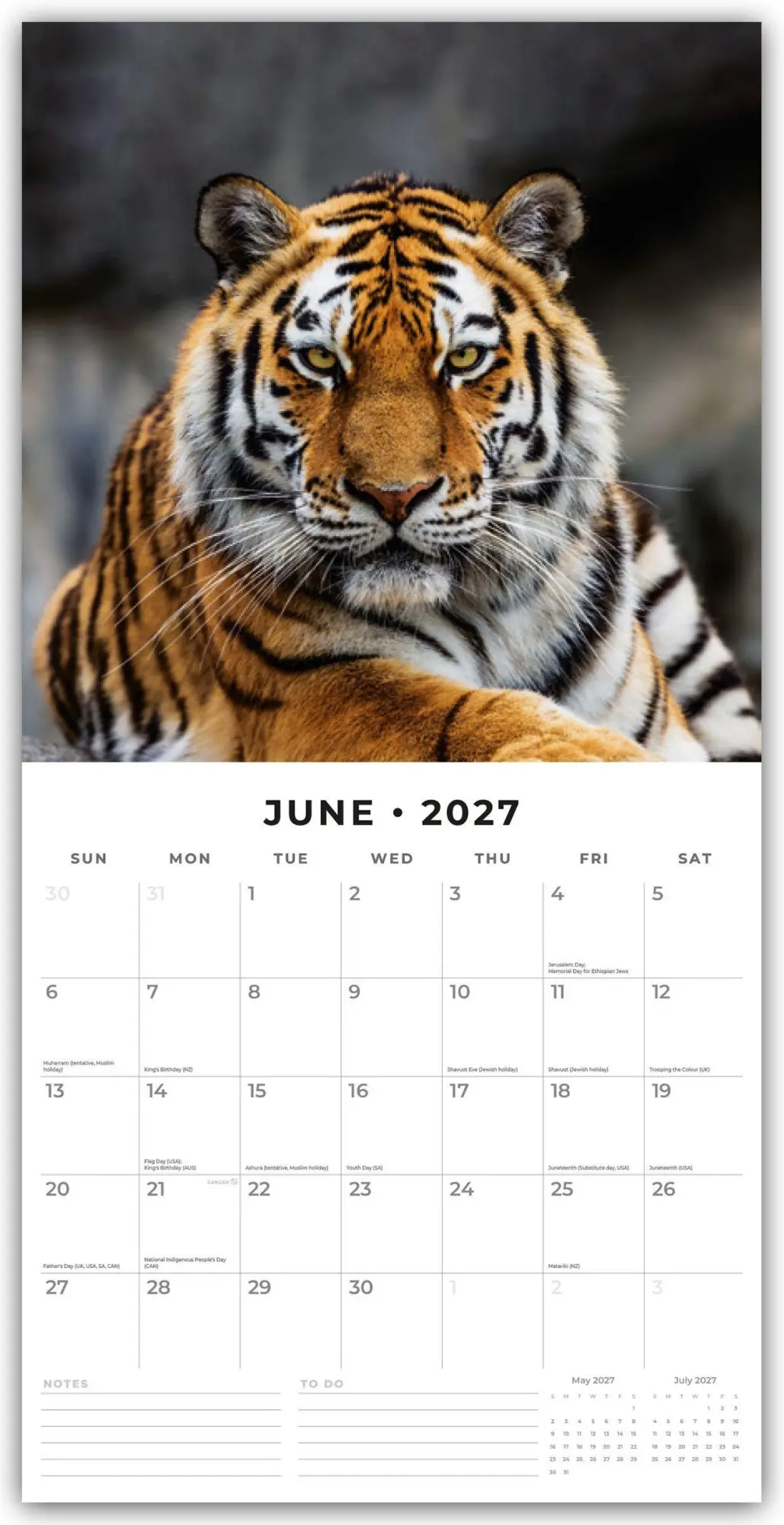 Bild: 9781837011735 | Tigers - Tiger 2027 - 16-Monatskalender | Robin Red | Kalender | 28 S.