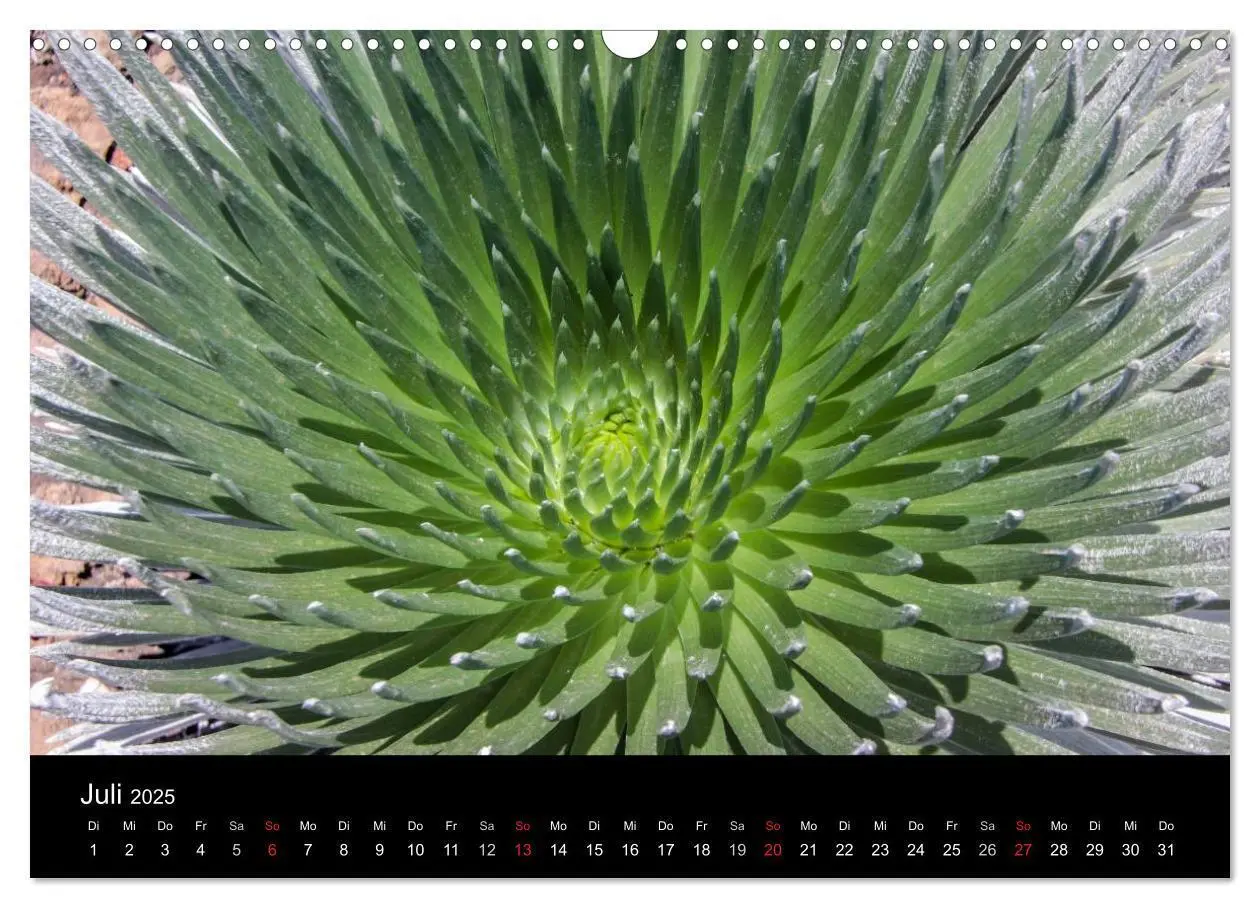 Bild: 9783435631735 | Paradiese der Erde - HAWAII (Wandkalender 2025 DIN A3 quer),...