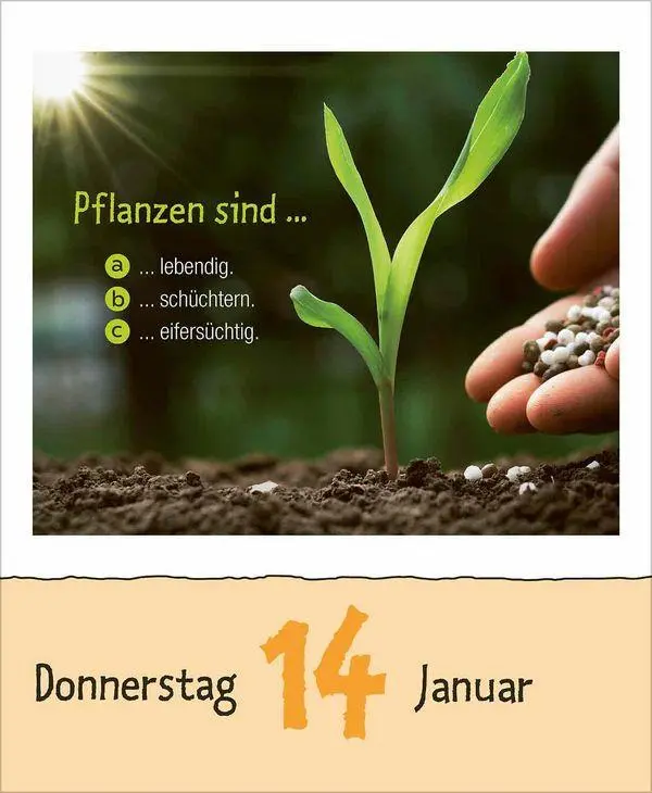 Bild: 9783819301735 | Kinderwissen 2027 | Korsch Verlag | Kalender | 328 S. | Deutsch | 2027