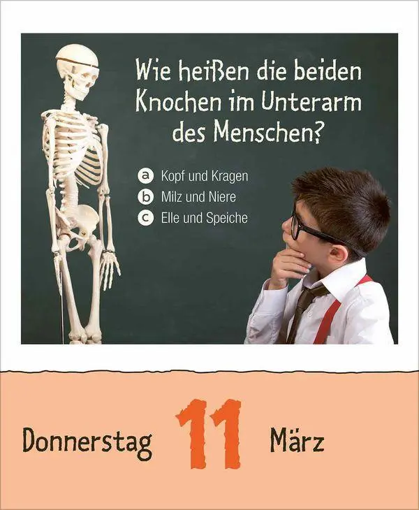 Bild: 9783819301735 | Kinderwissen 2027 | Korsch Verlag | Kalender | 328 S. | Deutsch | 2027