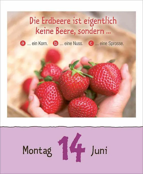 Bild: 9783819301735 | Kinderwissen 2027 | Korsch Verlag | Kalender | 328 S. | Deutsch | 2027