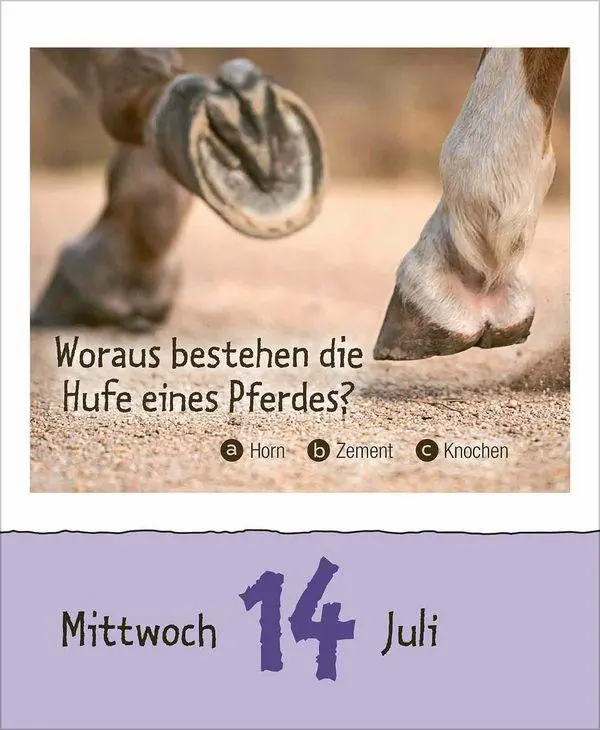Bild: 9783819301735 | Kinderwissen 2027 | Korsch Verlag | Kalender | 328 S. | Deutsch | 2027
