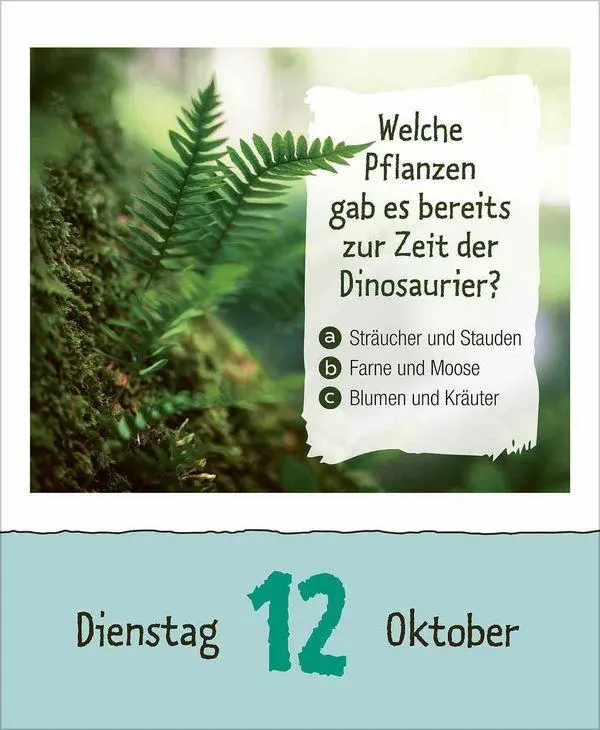 Bild: 9783819301735 | Kinderwissen 2027 | Korsch Verlag | Kalender | 328 S. | Deutsch | 2027