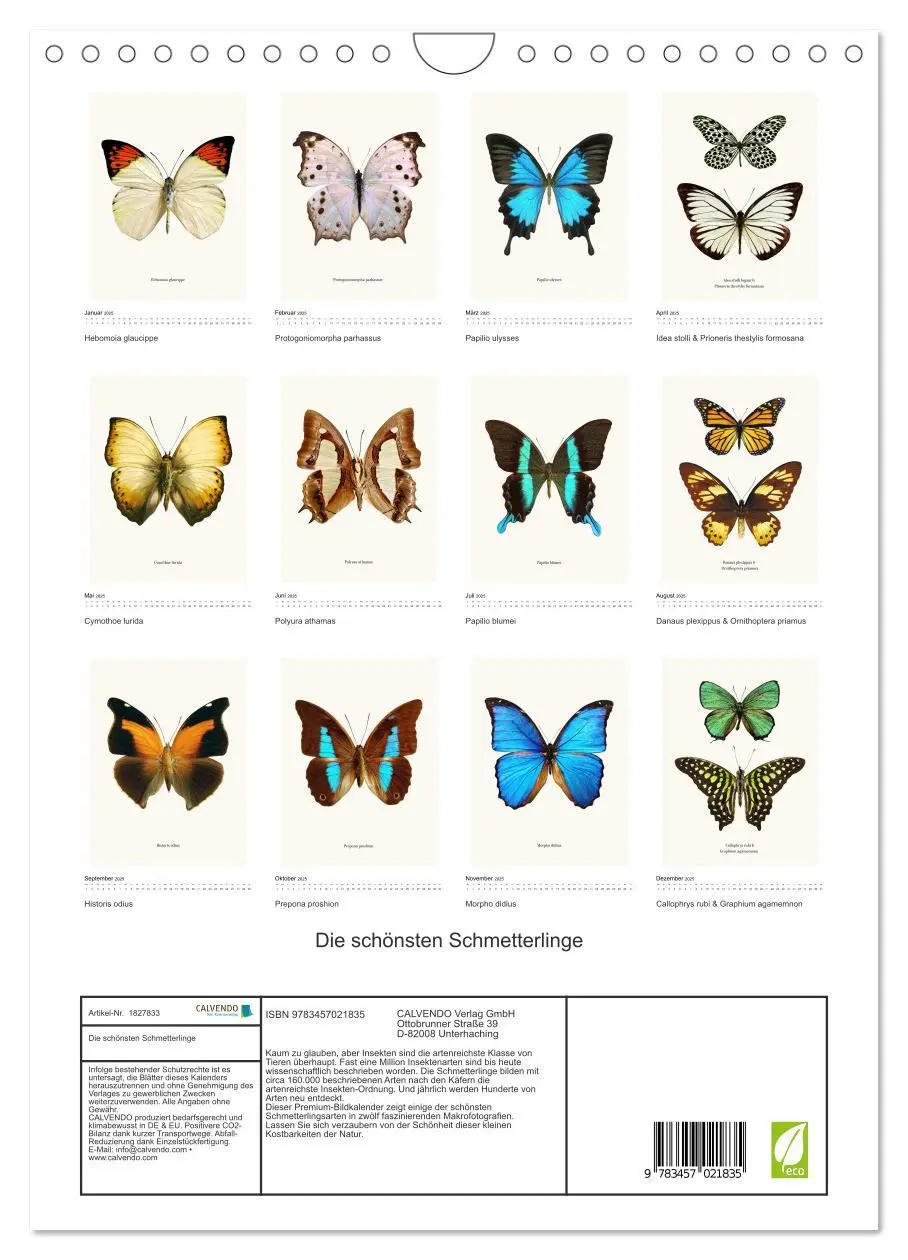 Bild: 9783457021835 | Die schönsten Schmetterlinge (Wandkalender 2025 DIN A4 hoch),...