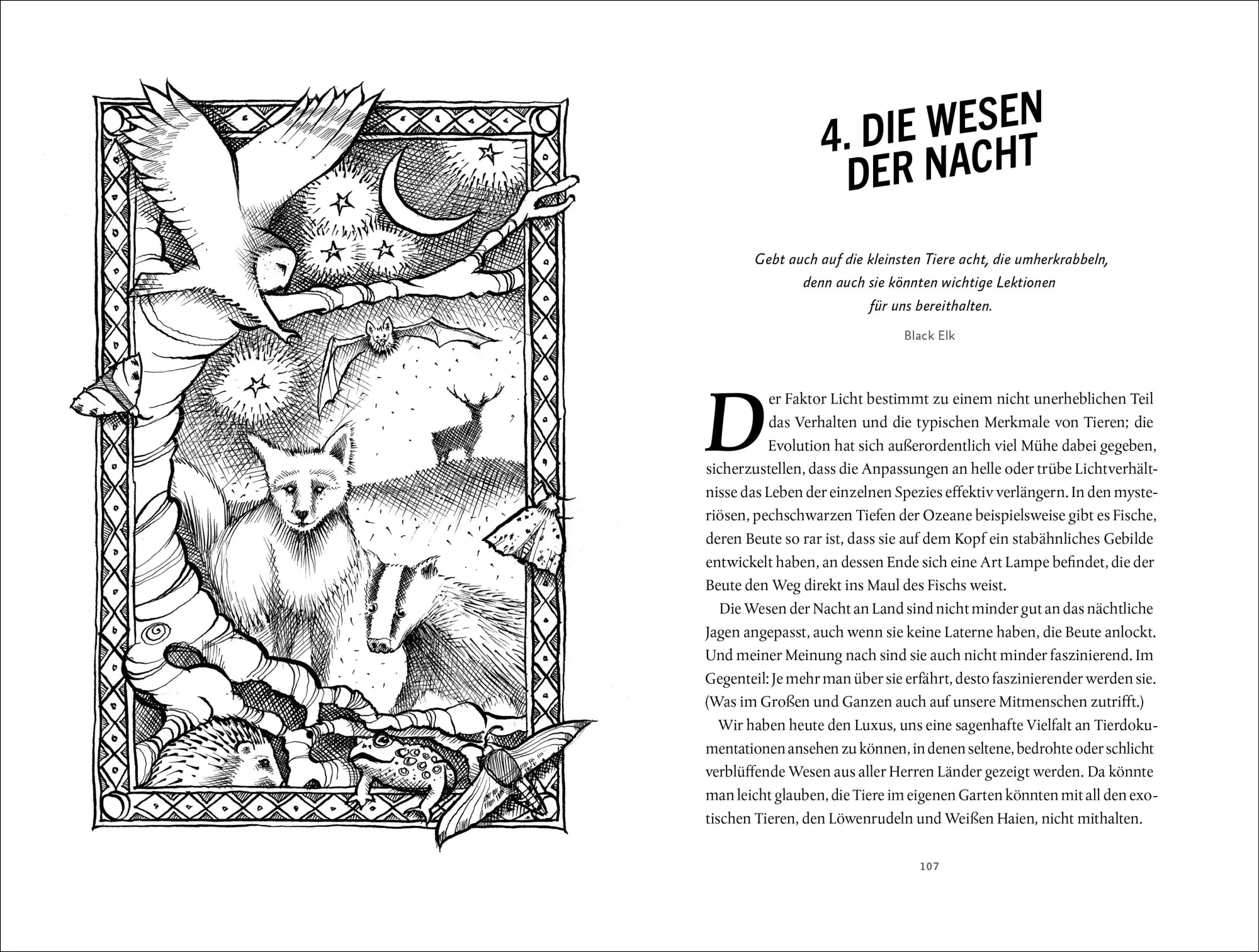 Bild: 9783466311835 | In der Nacht sind alle Sinne wach | Chris Salisbury | Buch | 267 S.