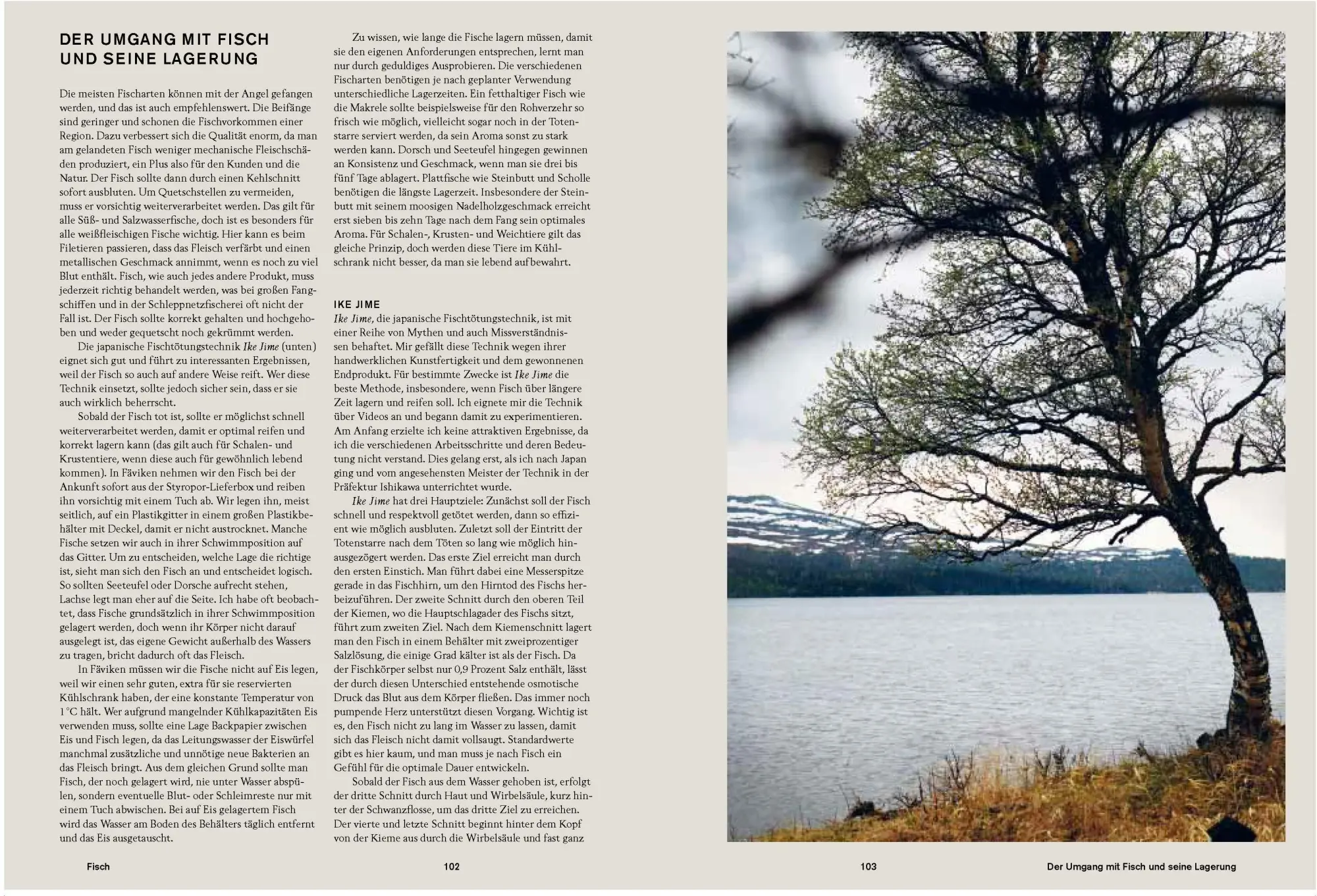 Bild: 9783841901835 | Fäviken | Magnus Nilsson | Buch | 272 S. | Deutsch | 2012