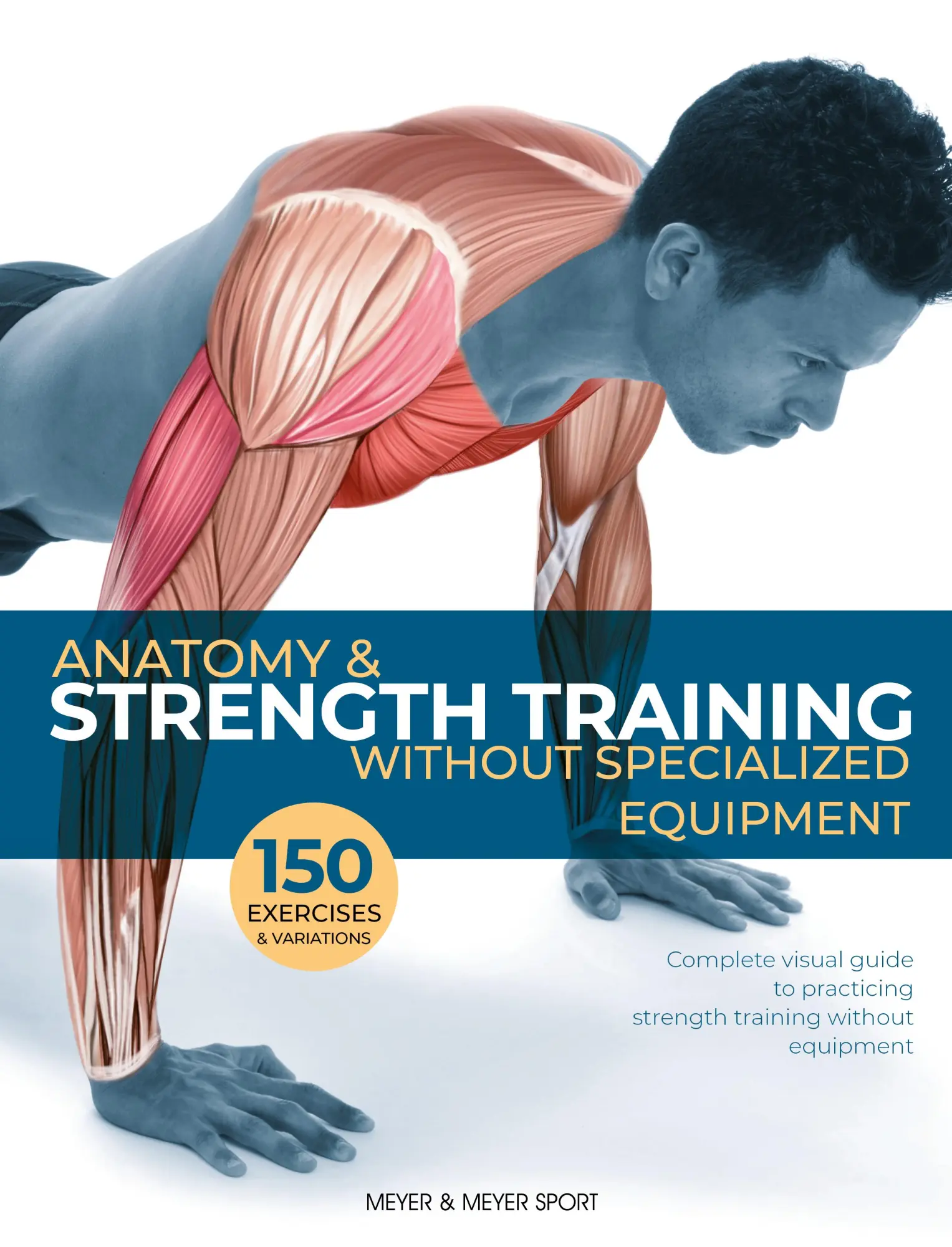 Cover: 9781782551935 | Anatomy &amp; Strength Training | Without Specialized Equipment | Seijas