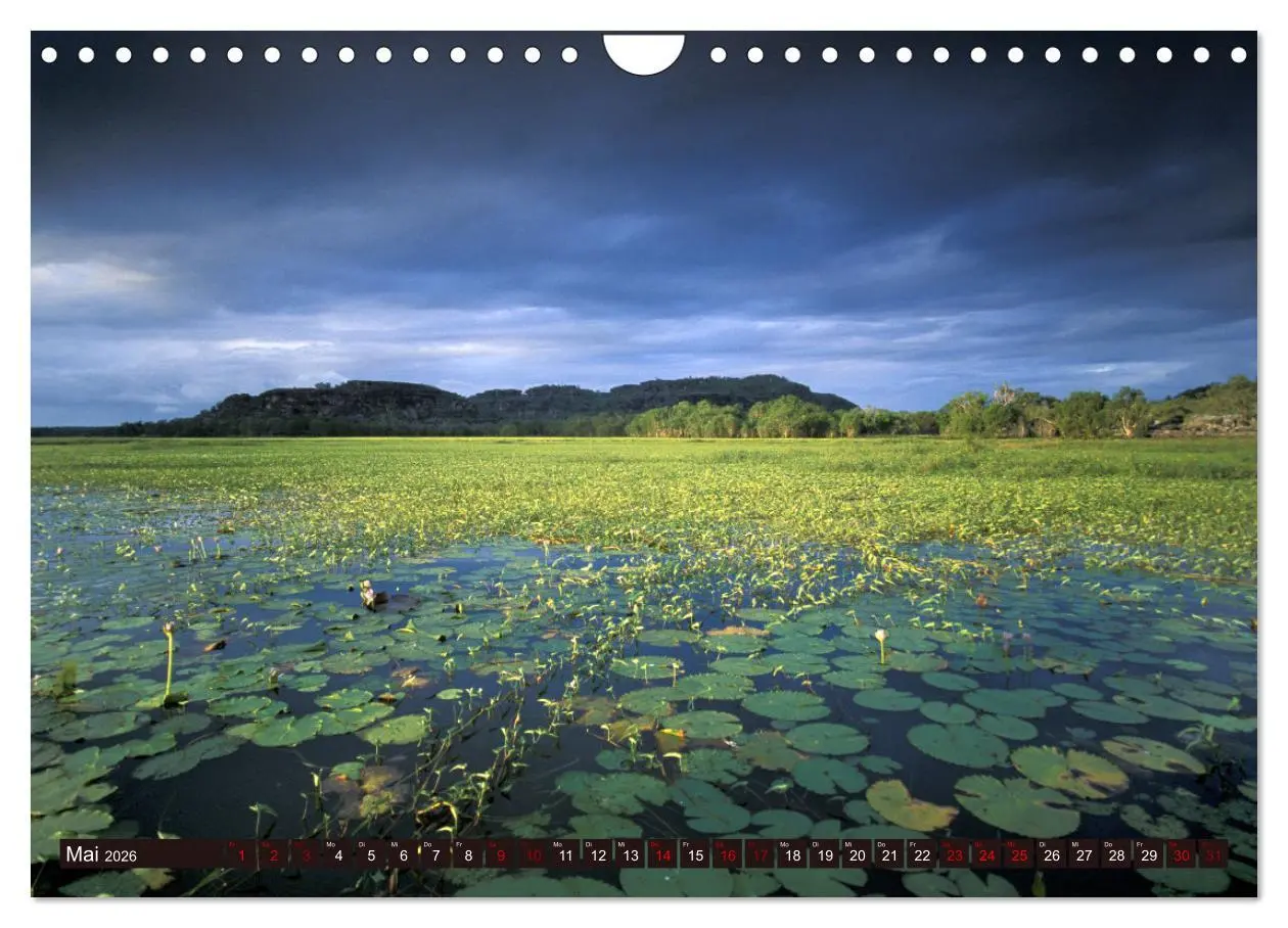 Bild: 9783457321935 | Traumpfade Australien (Wandkalender 2026 DIN A4 quer), CALVENDO...