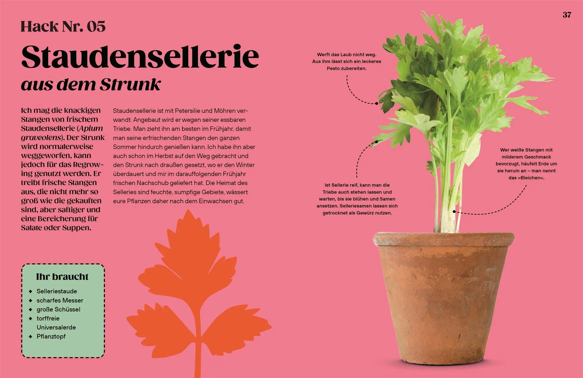 Bild: 9783831052035 | Regrow | Simon Akeroyd | Buch | 192 S. | Deutsch | 2026