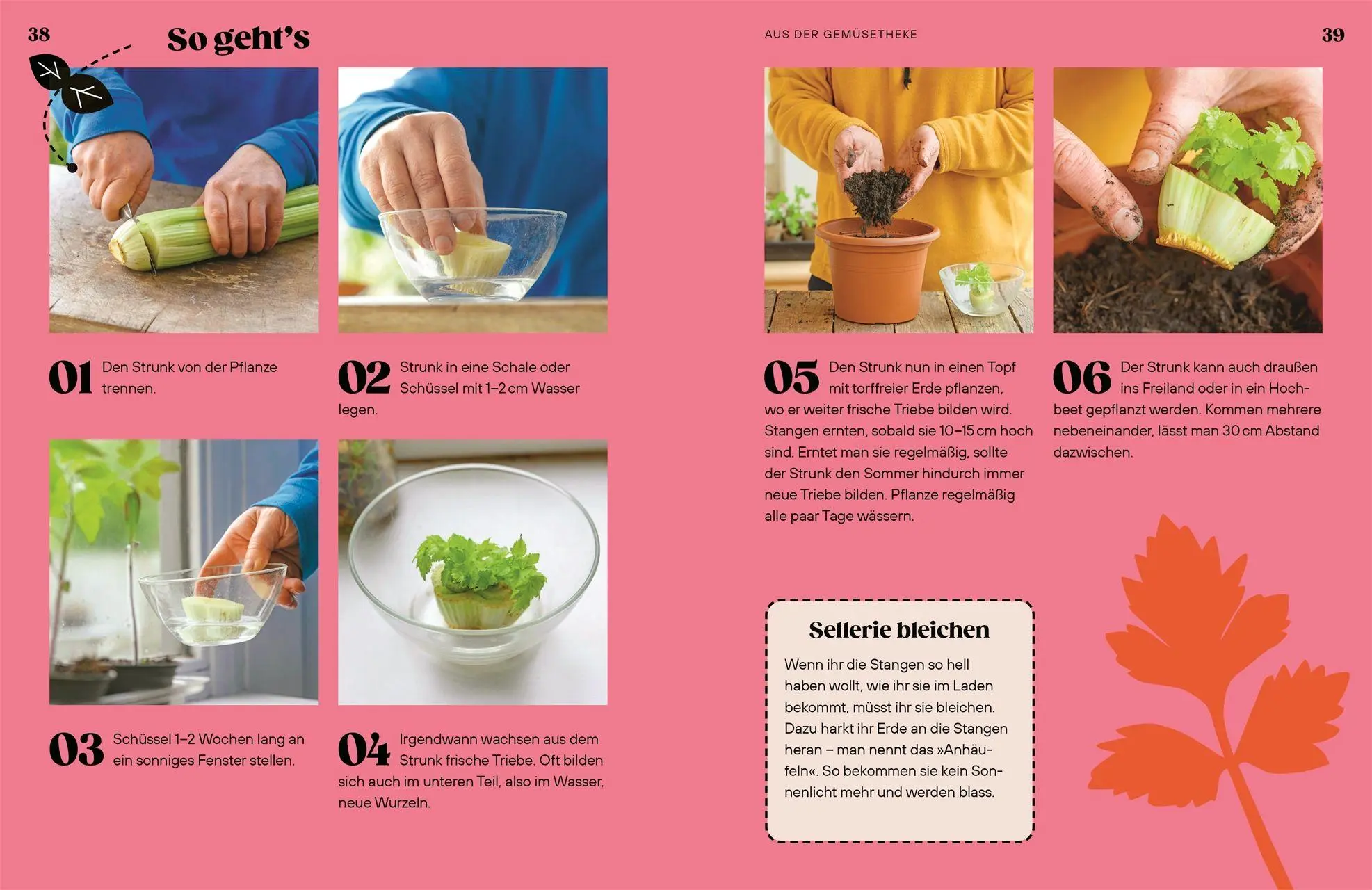 Bild: 9783831052035 | Regrow | Simon Akeroyd | Buch | 192 S. | Deutsch | 2026