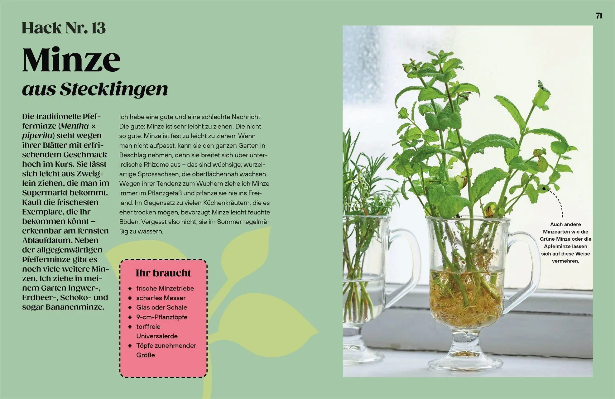 Bild: 9783831052035 | Regrow | Simon Akeroyd | Buch | 192 S. | Deutsch | 2026