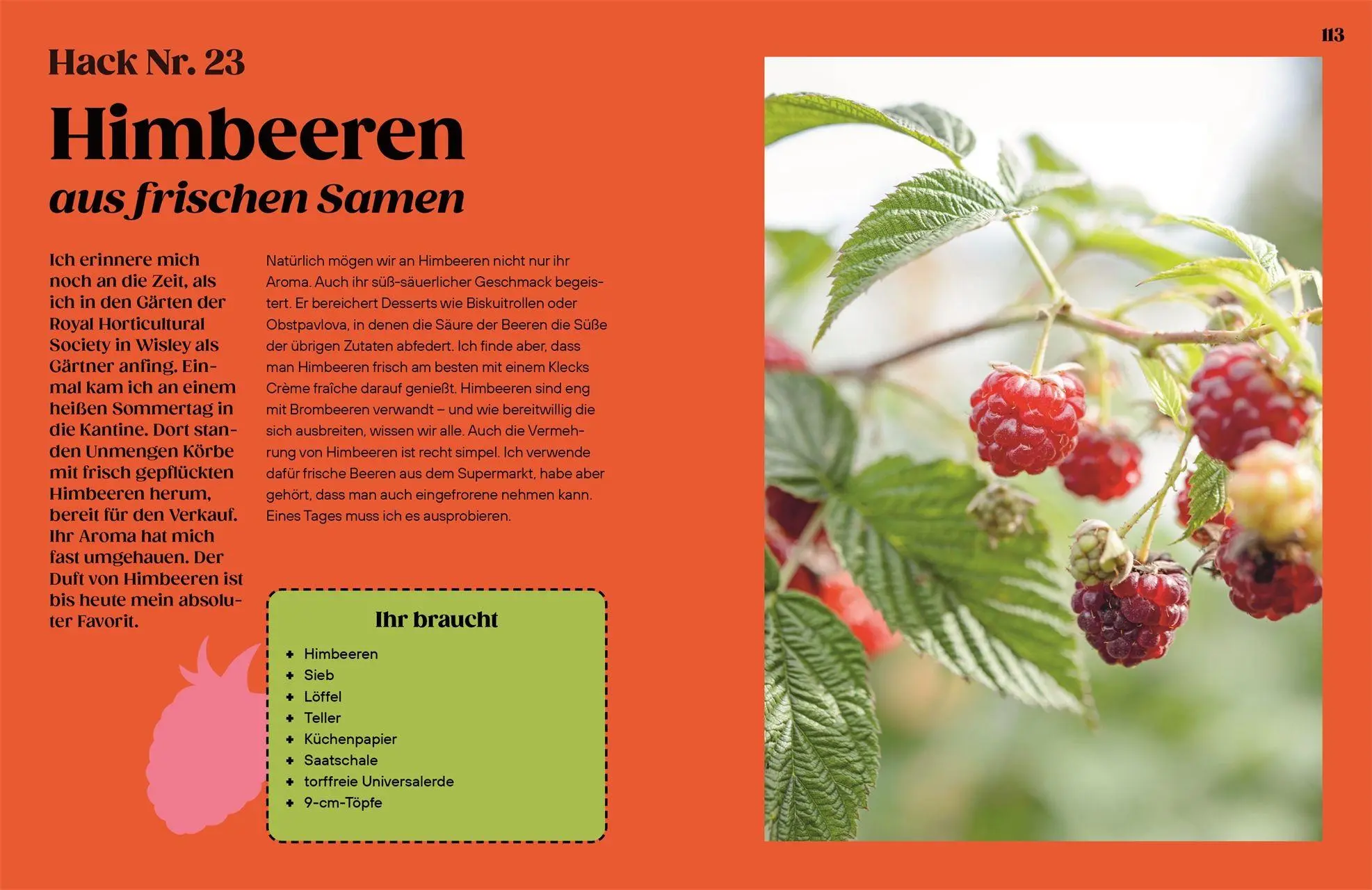 Bild: 9783831052035 | Regrow | Simon Akeroyd | Buch | 192 S. | Deutsch | 2026