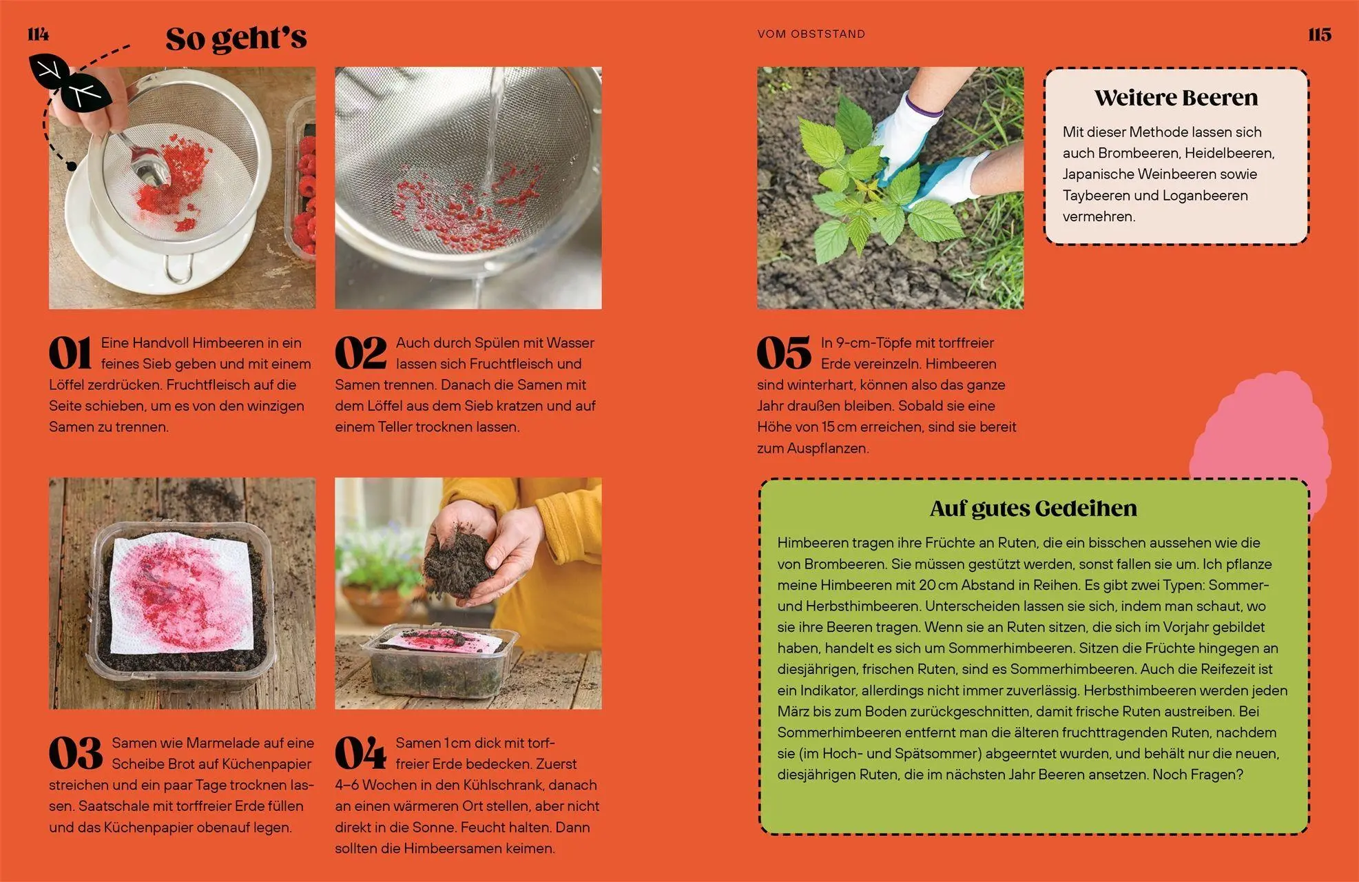 Bild: 9783831052035 | Regrow | Simon Akeroyd | Buch | 192 S. | Deutsch | 2026