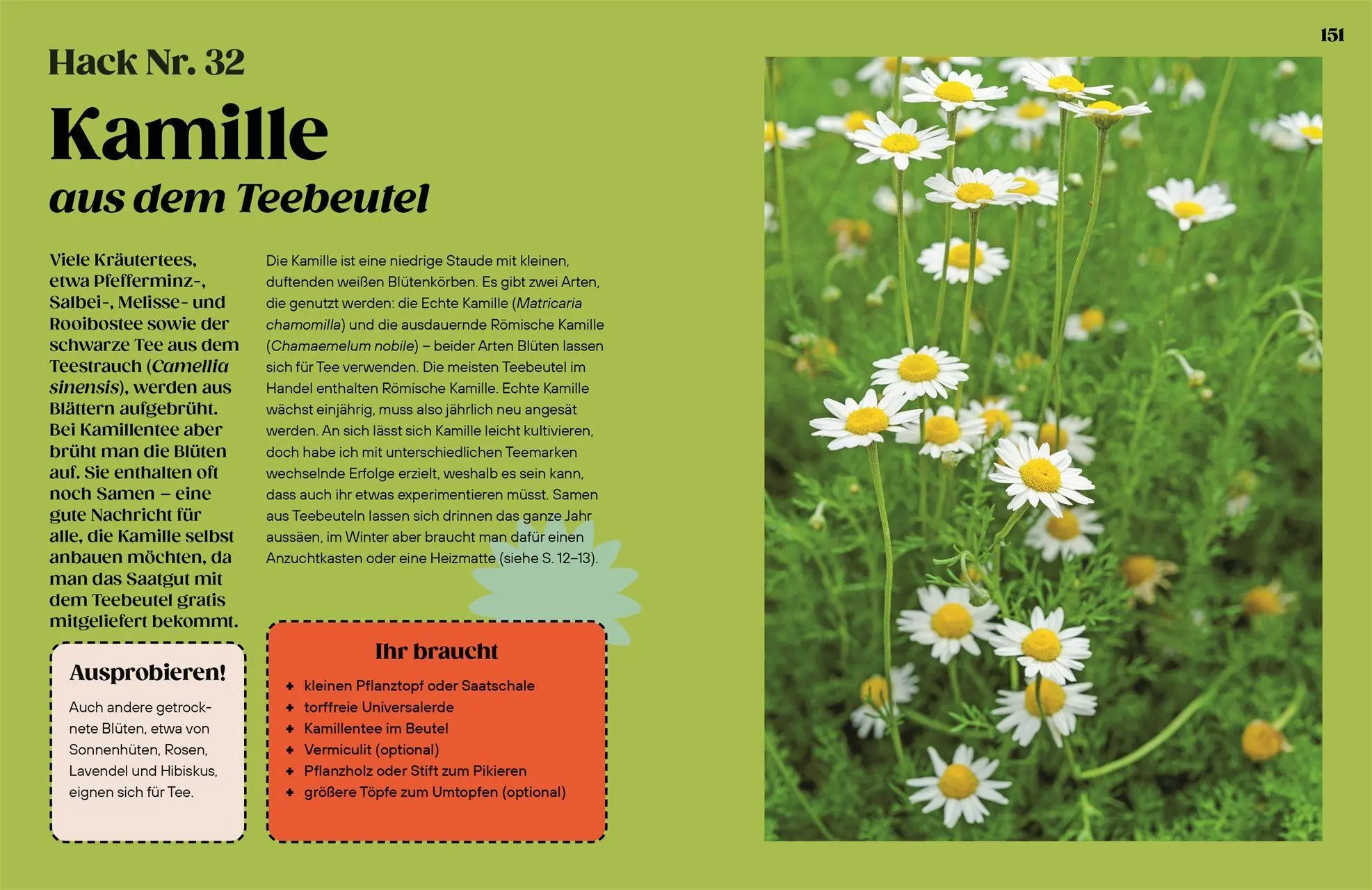 Bild: 9783831052035 | Regrow | Simon Akeroyd | Buch | 192 S. | Deutsch | 2026