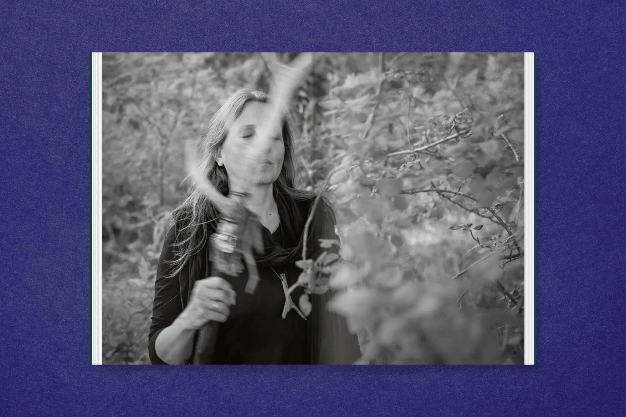 Bild: 9783987412035 | Saskia Stöhr: Die in der Hecke sitzt | Saskia Stöhr | Buch | 144 S.