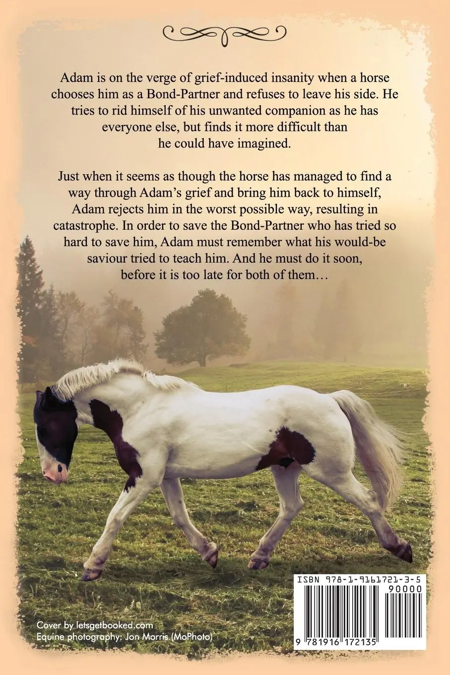 Rückseite: 9781916172135 | In Search Of Peace | A Prequel to The Horses Know Trilogy | Lynn Mann
